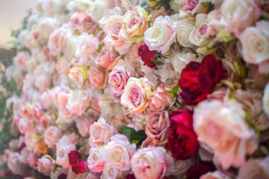 Gül desenli arka plan, pastel gölgeler. Doğal dekoratif duvar.