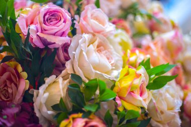 Gül desenli arka plan, pastel gölgeler. Doğal dekoratif duvar.