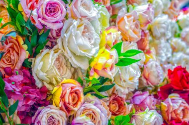 Gül desenli arka plan, pastel gölgeler. Doğal dekoratif duvar.