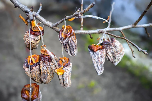 Getrocknete Kakifrüchte Hingen Zweig — Stockfoto