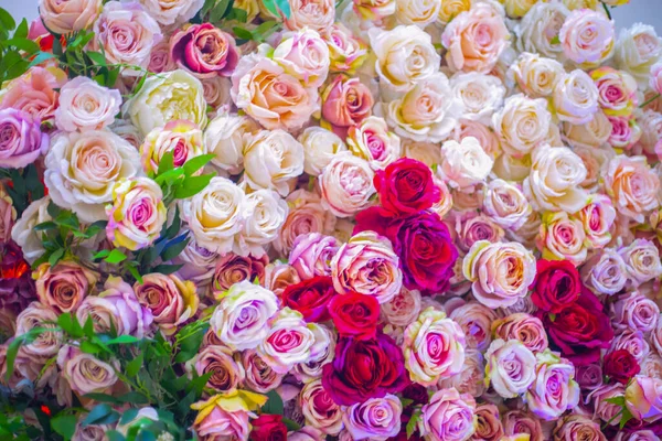 花のバラの質感の背景 パステルカラー 天然の装飾壁 — ストック写真