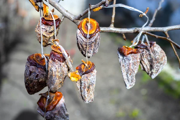 Getrocknete Kakifrüchte Hingen Zweig — Stockfoto