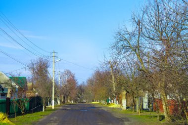 Baharın başında bir köy caddesi