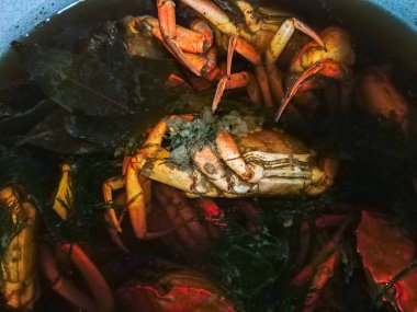 Deniz yengeçleri büyük tencerede kaynatmak için pişiriyorlar.