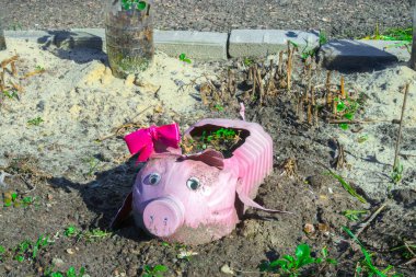 Plastik şişelerdeki pembe domuzlar. Açık havada plastik şişeden yapılmış güzel bir çiçek tarhı. Atık geri dönüşüm kavramı