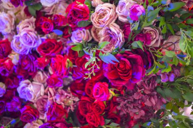 Gül desenli arka plan, pastel gölgeler. Doğal dekoratif duvar.