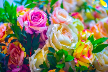 Gül desenli arka plan, pastel gölgeler. Doğal dekoratif duvar.