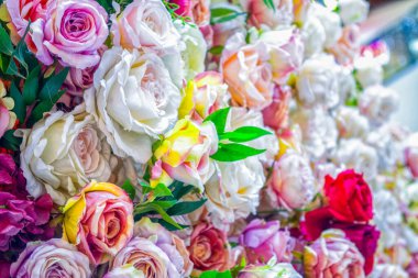 Gül desenli arka plan, pastel gölgeler. Doğal dekoratif duvar.