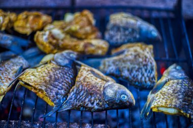 Doğada şenlik ateşinde kızartılmış füme haç balığı yakın plan.