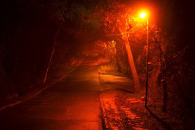 Gece park yolu