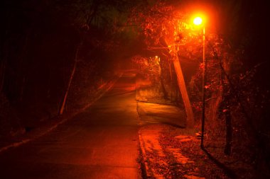 park path at night clipart