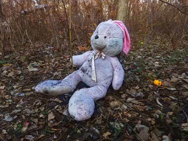被遗弃的玩具兔子被遗忘在被秋天树叶覆盖的森林里 — 图库照片