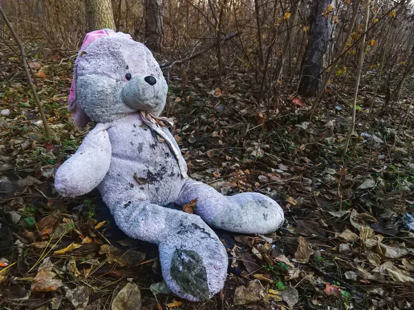 Ormanda Sonbahar Yapraklarıyla Kaplı Terk Edilmiş Oyuncak Tavşancık Konsept Depresyon — Stok fotoğraf