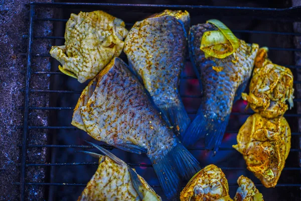 在自然篝火上烘烤的烤熏制的梭鱼特写镜头 — 图库照片