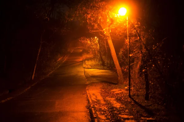 Gece park yolu