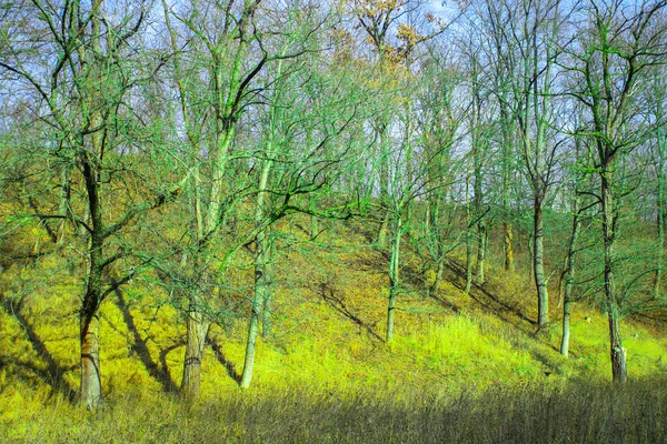 Vert Forêt Printanière Paysage Naturel — Photo