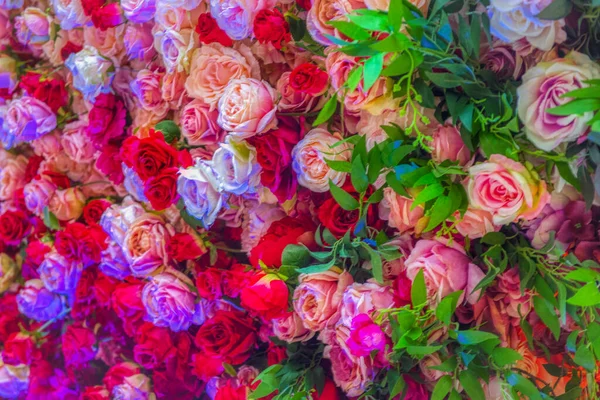Rosas Flores Textura Fondo Tonos Pastel Pared Decorativa Natural — Foto de Stock