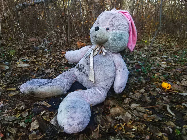 Lonely Forgotten Abandoned Teddy Toy Bunny Rabbit Forest Covered Autumn — Stock Photo, Image