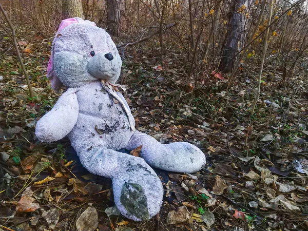 Ormanda Sonbahar Yapraklarıyla Kaplı Terk Edilmiş Oyuncak Tavşancık Konsept Depresyon — Stok fotoğraf