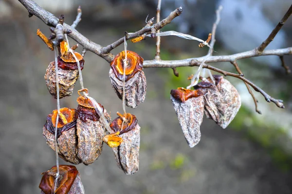 Getrocknete Kakifrüchte Hingen Zweig — Stockfoto