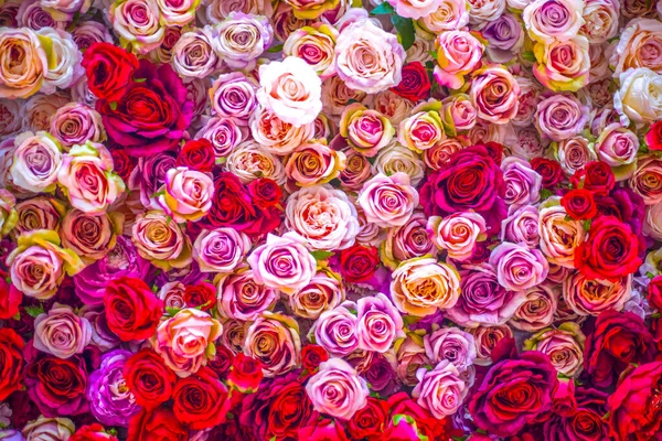 Flor Rosas Textura Fundo Tons Pastel Parede Decorativa Natural — Fotografia de Stock