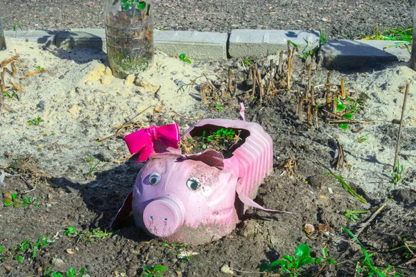 Plastik şişelerdeki pembe domuzlar. Açık havada plastik şişeden yapılmış güzel bir çiçek tarhı. Atık geri dönüşüm kavramı