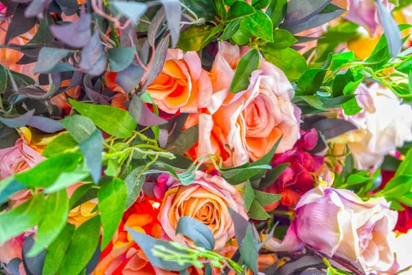 Квіткові Троянди Текстура Фону Пастельні Відтінки Натуральна Декоративна Стіна — стокове фото