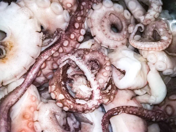 Calamari Freschi Frutti Mare Sani Tentacoli Calamaro Viola Sono Arricciati — Foto Stock