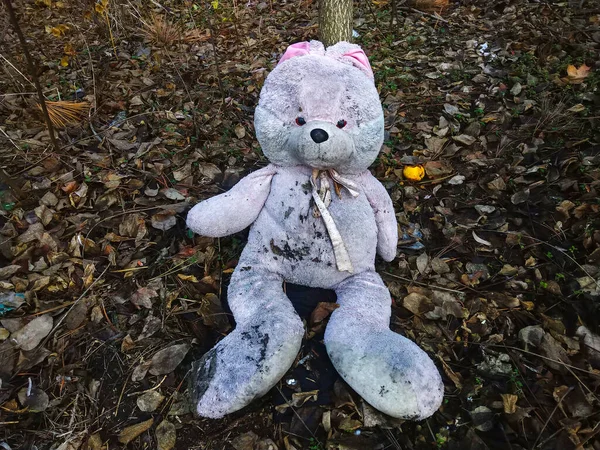 被遗弃的玩具兔子被遗忘在被秋天树叶覆盖的森林里 — 图库照片