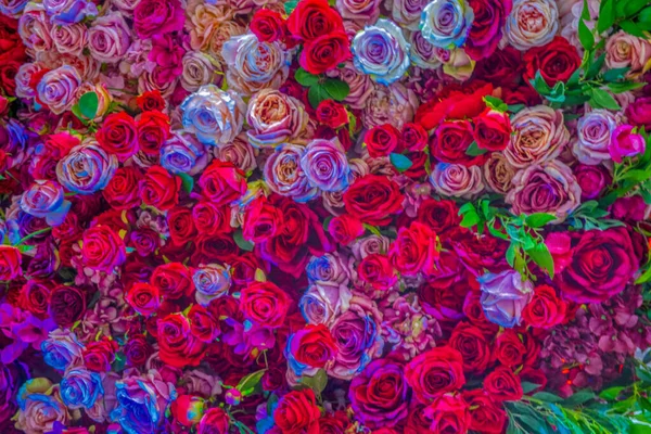 Blumen Rosen Textur Hintergrund Pastelltöne Natürliche Dekorative Wand — Stockfoto