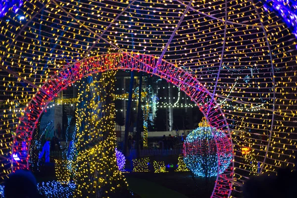 นไม องแสงในว นคร มาสท สวยงาม ปบนสวนสาธารณะ — ภาพถ่ายสต็อก