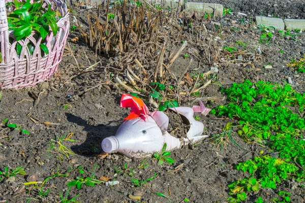 Plastik Şişelerdeki Pembe Domuzlar Açık Havada Plastik Şişeden Yapılmış Güzel — Stok fotoğraf