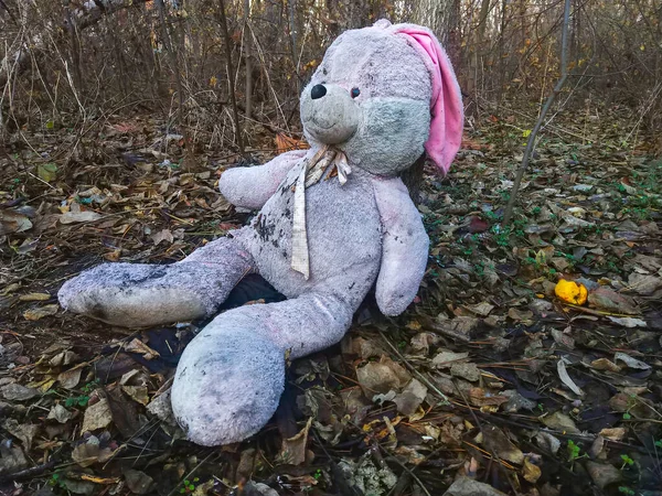 Lonely Forgotten Abandoned Teddy Toy Bunny Rabbit Forest Covered Autumn Stock Photo