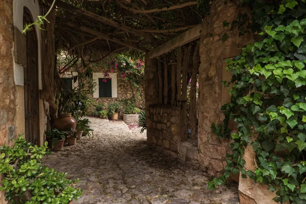 Bahçeli güzel antik meydan.