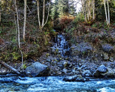 Buzlu bir dere bir dağ nehrine akar.