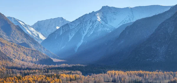 Gebirgsschlucht mit Wald bewachsen, Schnee auf den Gipfeln — Stockfoto