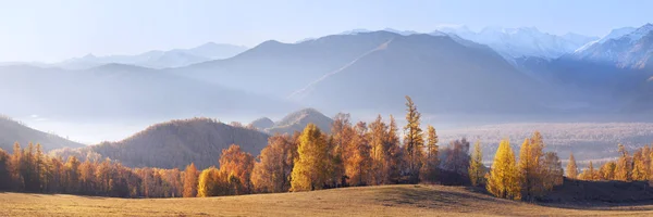 Panoramautsikt över hösten, morgondimma — Stockfoto
