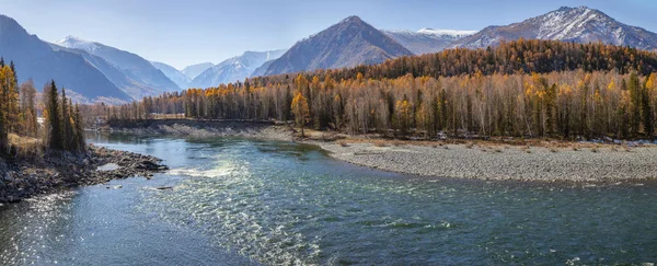 Wild Katun folyó Altai hegységben — Stock Fotó