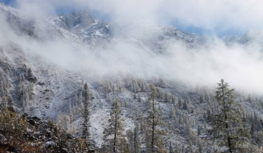 Dağlarda ustalıkla yürür,