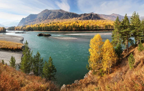 Rio Wild Katun nas montanhas de Altai — Fotografia de Stock