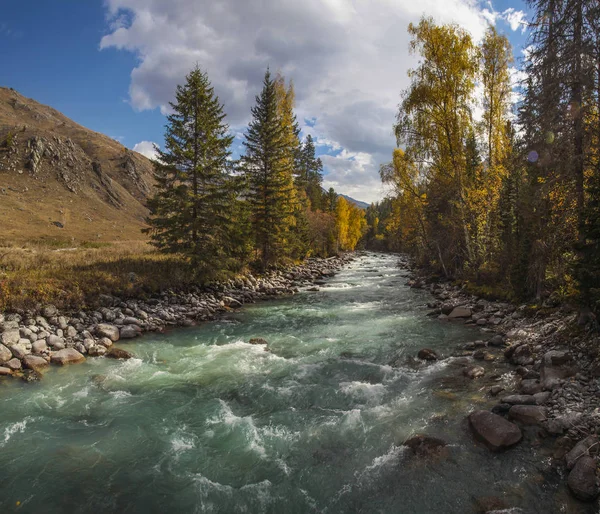 Un fiume selvaggio scorre tra la foresta — Foto Stock