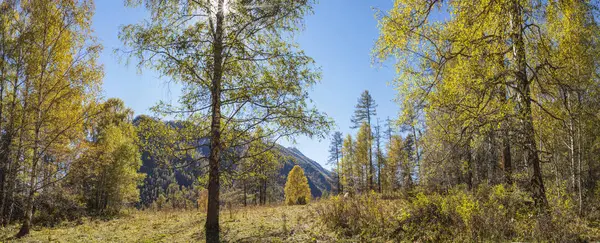 Otoño dorado, verano indio — Foto de Stock