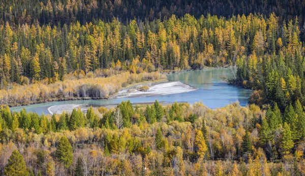 Taiga river, view from above — Stock Photo, Image