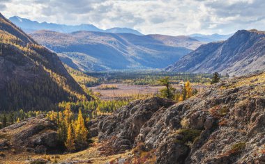 Dağ geçidi, sonbahar manzarası