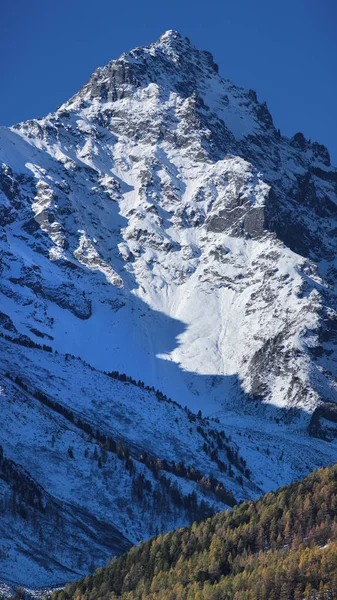 Cima innevata, verticale — Foto Stock