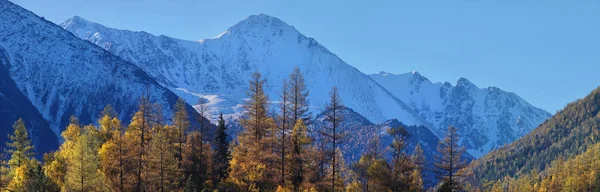 Schneebedeckte Berggipfel überragen den herbstlichen Wald — Stockfoto