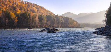 Altai dağlarında Katun nehri, Sibirya