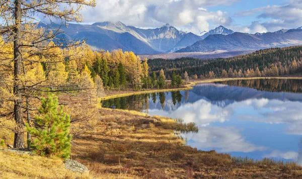 Utsikt över skogssjön, Altai, Sibirien — Stockfoto