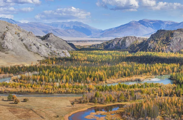 O rio flui em um vale de montanha — Fotografia de Stock