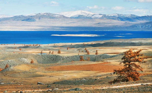 Parco nazionale Altai Tavan Bogd — Foto Stock